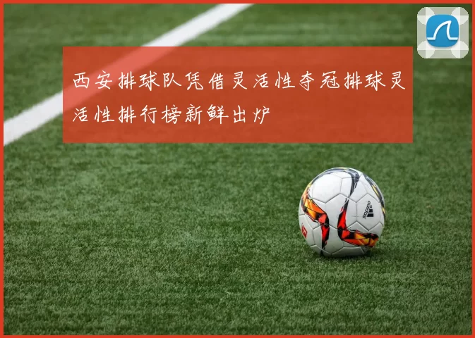 西安排球队凭借灵活性夺冠排球灵活性排行榜新鲜出炉