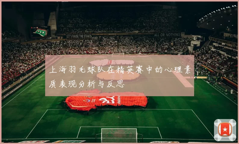 上海羽毛球队在精英赛中的心理素质表现分析与反思