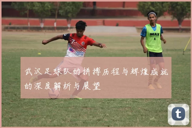 武汉足球队的拼搏历程与辉煌成就的深度解析与展望