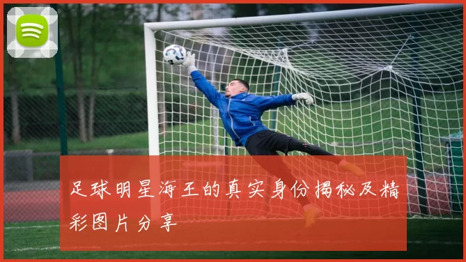 足球明星海王的真实身份揭秘及精彩图片分享