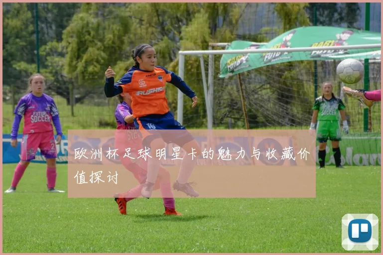 欧洲杯足球明星卡的魅力与收藏价值探讨