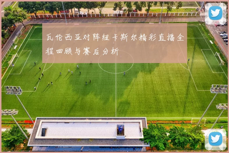 瓦伦西亚对阵纽卡斯尔精彩直播全程回顾与赛后分析