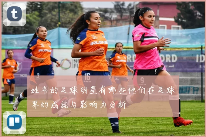 姓韦的足球明星有哪些他们在足球界的成就与影响力分析