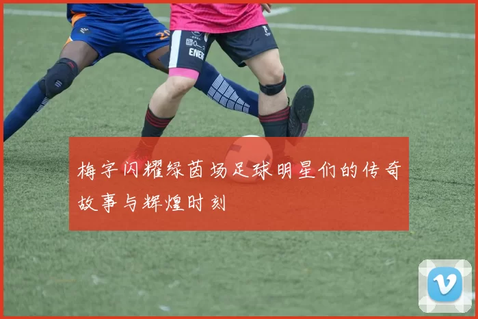 梅字闪耀绿茵场足球明星们的传奇故事与辉煌时刻